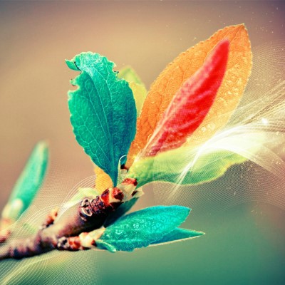 1920 x 1080 HD Wallpapers 1458